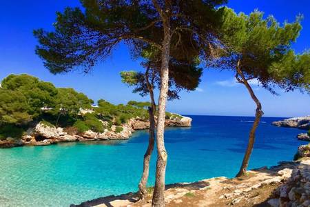 Hôtel Cala d’Or Playa Cala d'Or Hôtel Cala d’Or Playa Cala d'Or