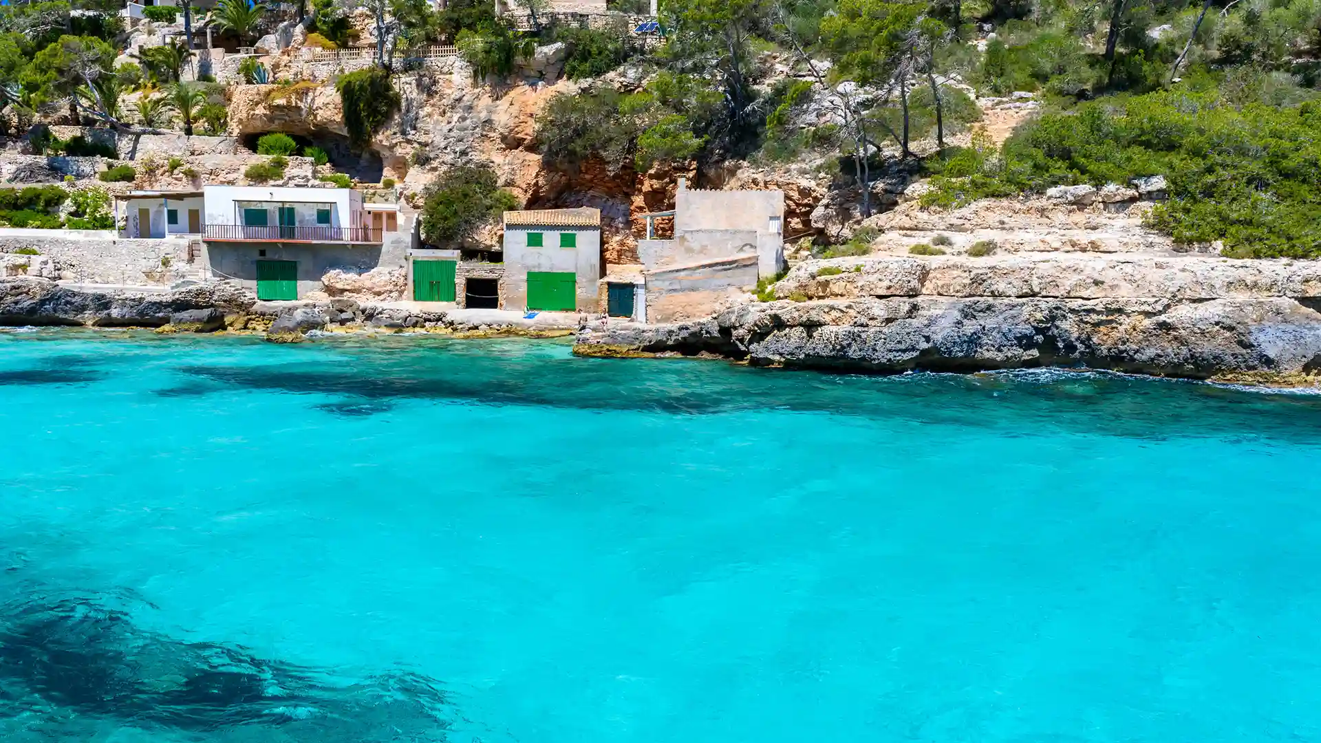 Experiences hero with an image of a cove’s coastline