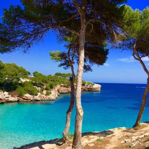 Hôtel Cala d’Or Playa Cala d'Or Hôtel Cala d’Or Playa Cala d'Or